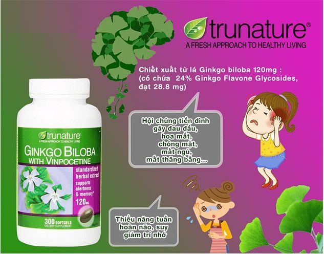 Khám Phá Sức Khỏe và Lợi Ích của Viên Uống Ginkgo Biloba