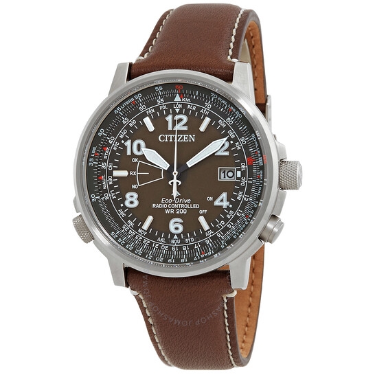 Đồng Hồ Nam CITIZEN Eco-Drive Promaster Sky Perpetual World Time Brown Dial Men's Watch CB0240-29X